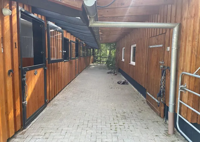 Steffens Hof