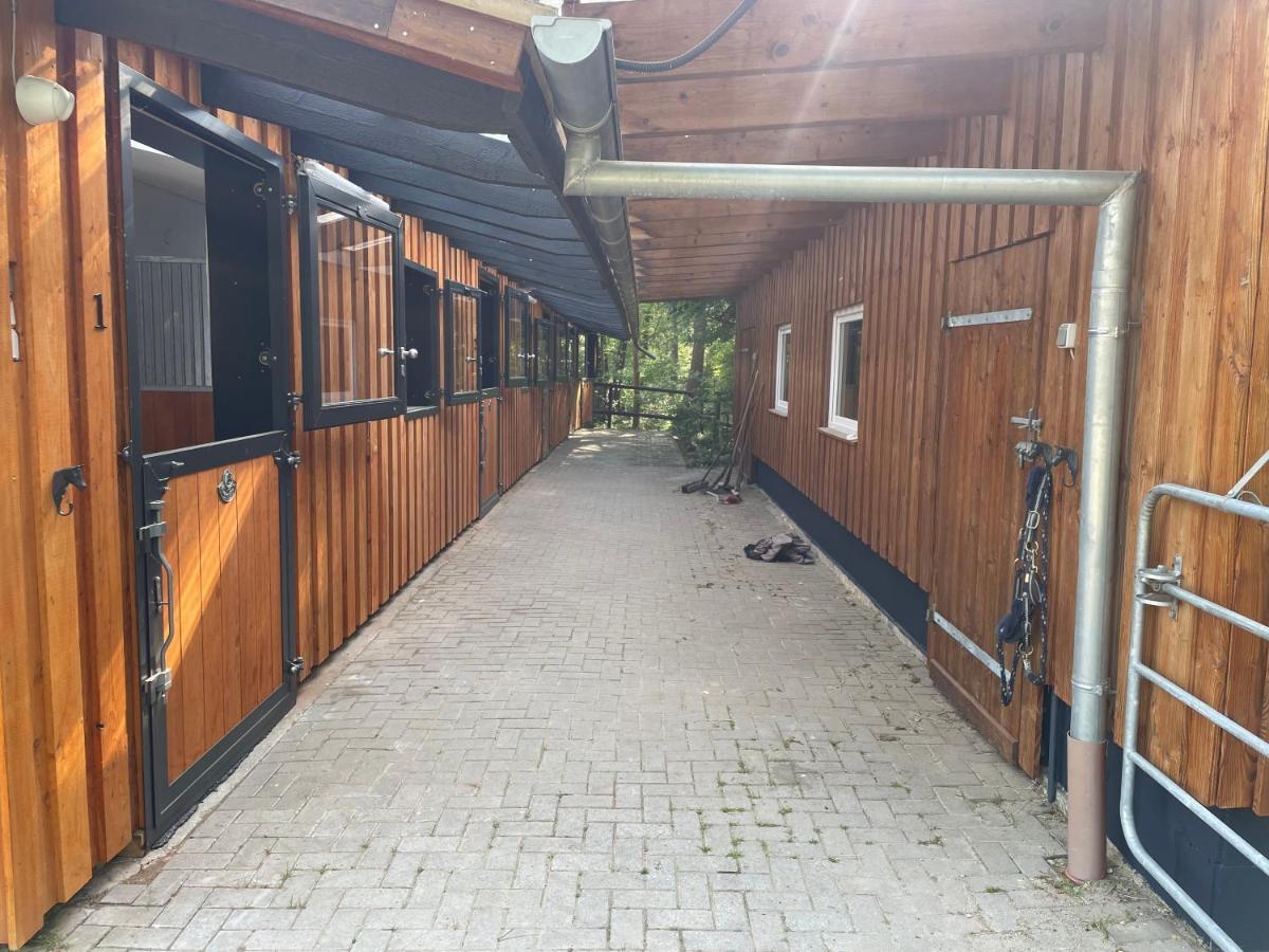 Steffens Hof Apartment Worpswede